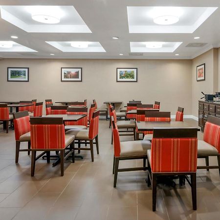 Comfort Suites Near Mcas Beaufort Exterior foto